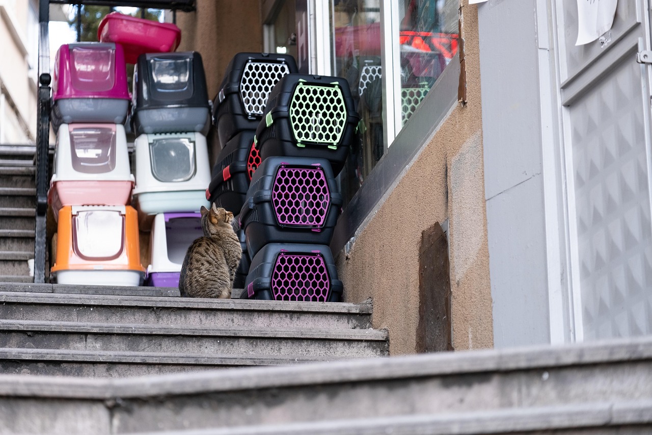 Pet Carriers