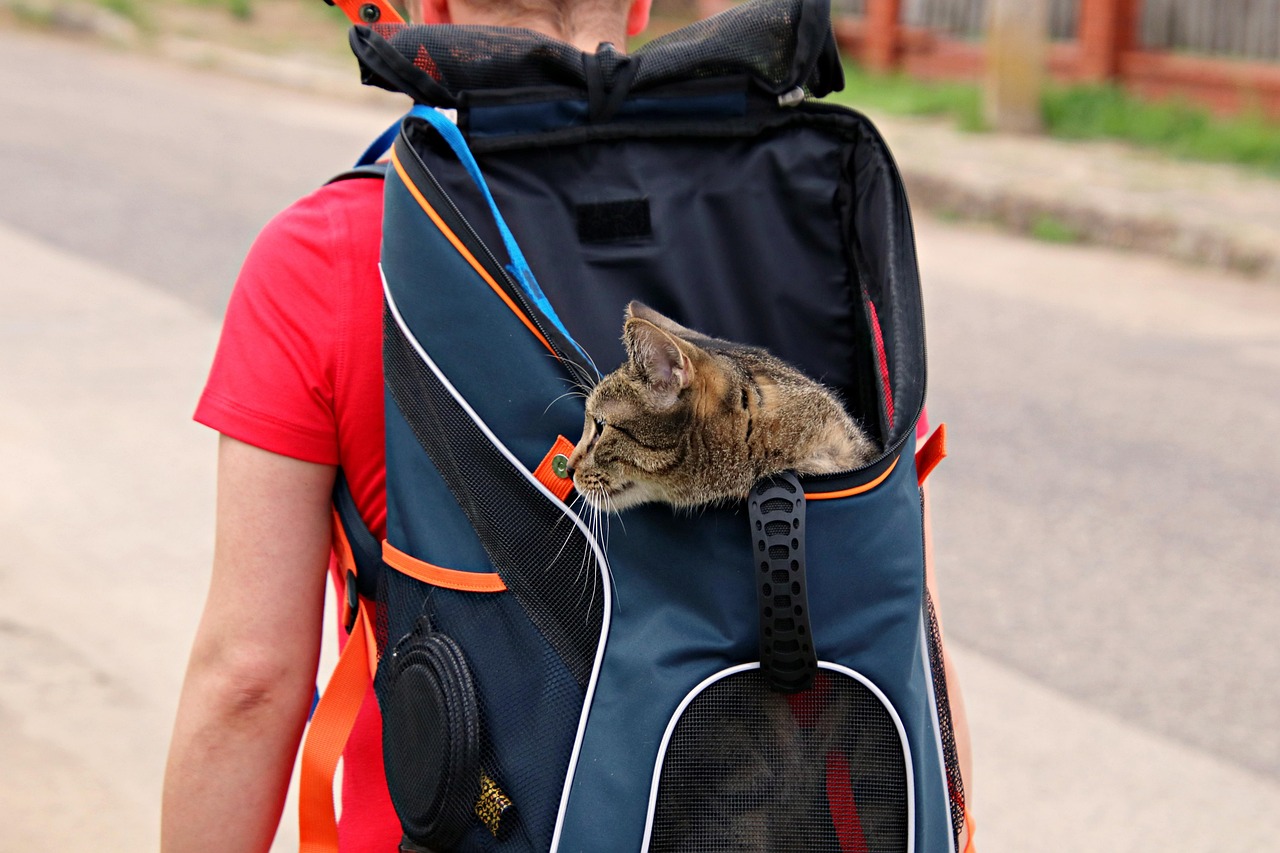 Pet Carriers
